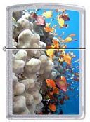ZIPPO Zapaľovač 0751 Coral Reef - Koralový Útes