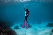 Plutvy s Topánkou MARES X-WING S - Free Diving Modrá 40 / 41